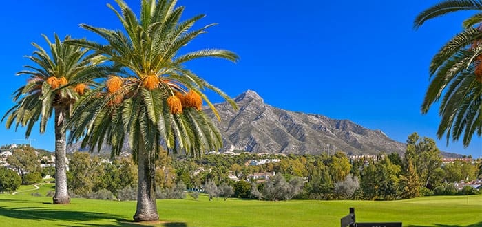 GOLDEN MILE - arbatestates.com